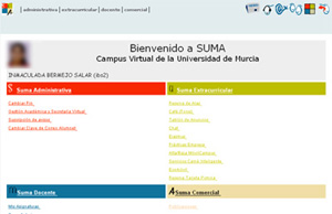 Interfaz del sistema SUMA